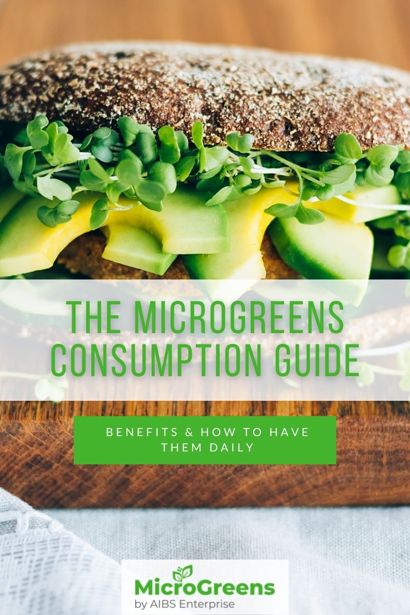 The Microgreens Consumption Guide: Benefits & How To Have Them Daily