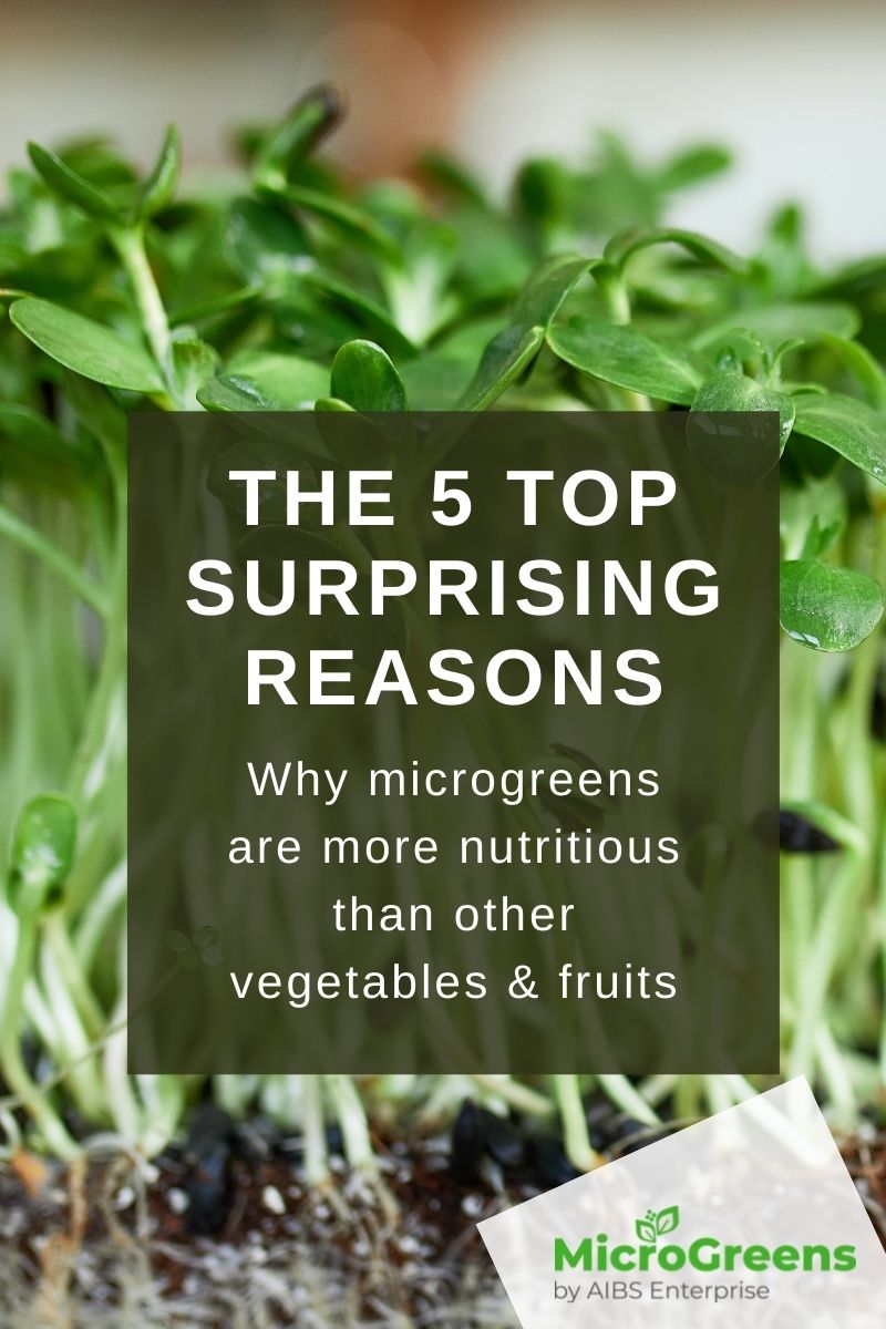 The 5 Top Surprising Reasons Why Microgreens are more Nutritious than Other Vegetables & Fruits
