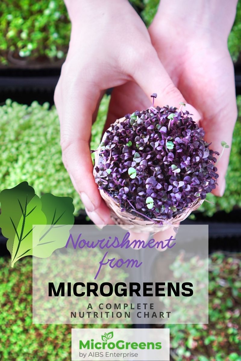 Nourishment from Microgreens: A Complete Nutrition Chart