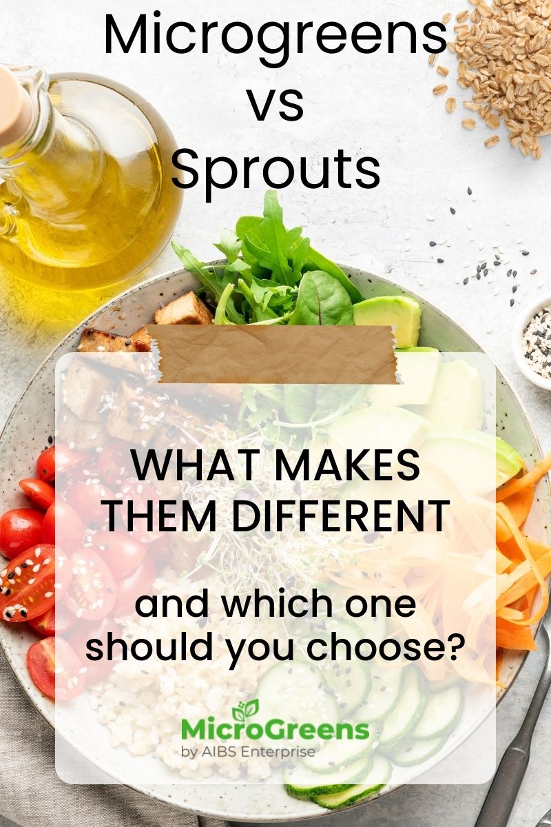 Microgreens vs Sprouts: What Makes Them Different and Which One Should You Choose?