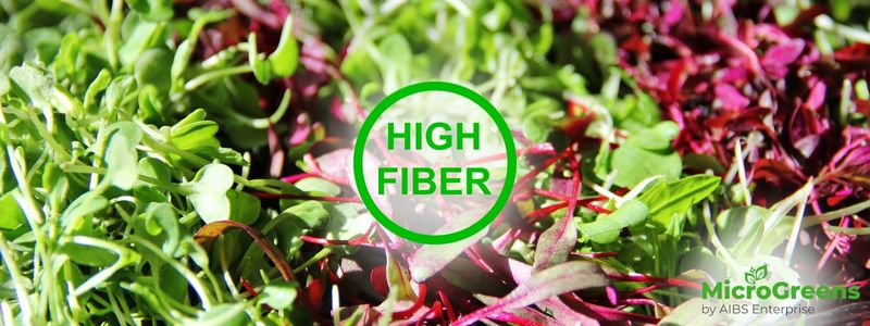 Microgreens are a good source of fiber